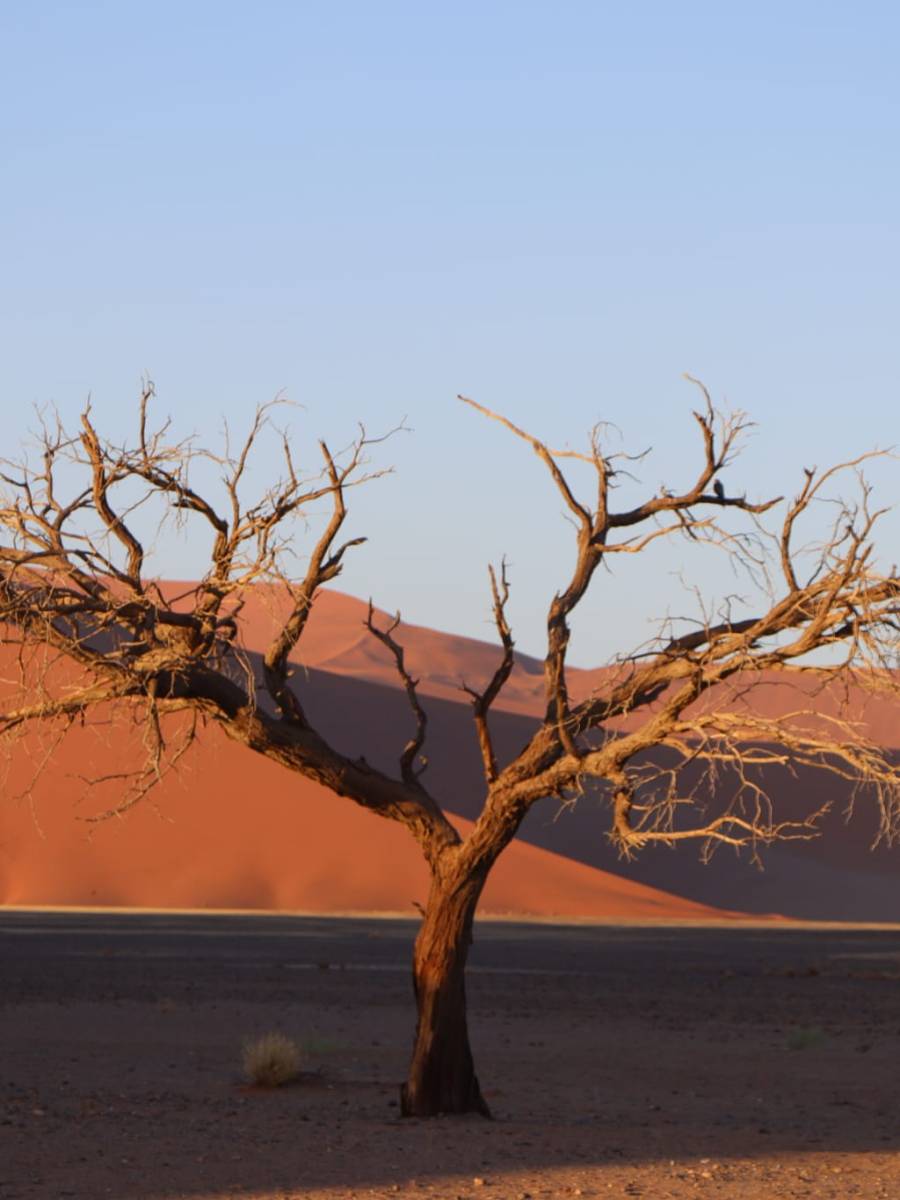 Reisroute van 2 tot 3 weken in&nbsp;Namibië
