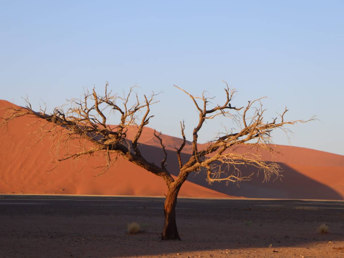 Reisroute van 2 tot 3 weken in&nbsp;Namibië